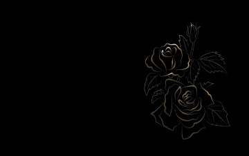 минимализм, черный фон, белые контуры розы, картинка, обои скачать, Minimalism, black background, white contours roses, picture, wallpaper download
