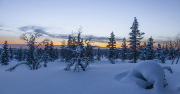 Обои на рабочий стол Lapland, снег, деревья, Sunset, Finland, зима, закат, пейзаж