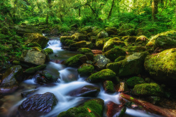 Фото бесплатно мох на камнях, пейзаж, камни, водопад, лес, природа