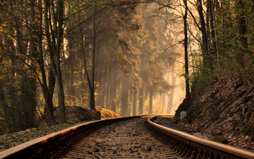 Фото бесплатно железная дорога, лес, солнечные лучи