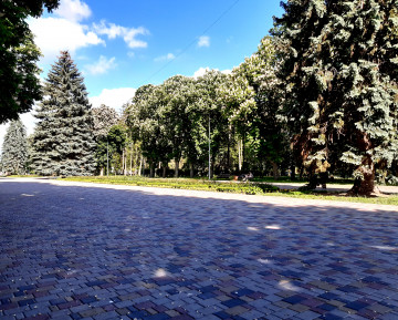 парк, голубые ёлки, деревья, тротуарная плитка, лето, природа