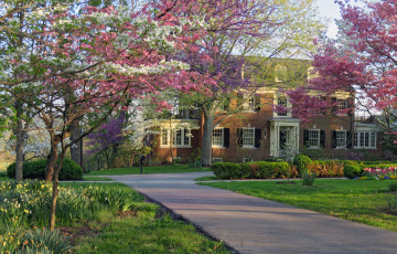 город, природа, США, особняк, цветущие деревья, весна