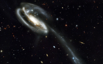 distant galaxies is a stunning backdrop for a runaway galaxy Tadpole Galaxy, UGC 10214т 3840х2400