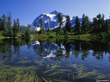 лето, природа, озеро, хвойные деревья, горы, красота, обои, summer, nature, lake, pine trees, mountains, beauty, wallpaper