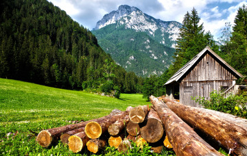 природа, горы, дрова, брёвна, деревянный домик, лес, сосна, лето, пейзаж