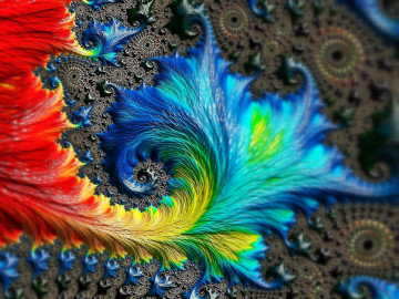 абстракция, разноцветные перья, узоры, орнамент, яркие обои