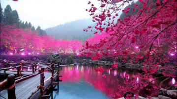 весна в Китае, цветущая сакура, озеро, парк, мост, городской пейзаж, 春天在中國，櫻花，湖泊，公園，橋樑，城市景觀