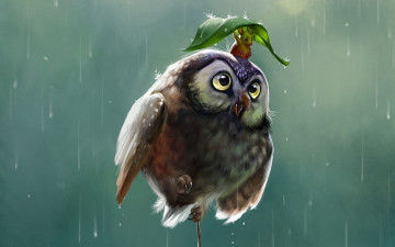 рисунок, картинка с мультфильма, сова и мышка под листиком летят, дождь, Drawing, picture from cartoon, owl and mouse under the leaf fly, rain