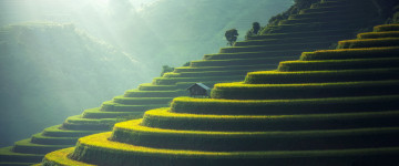 Красивый азиатский пейзаж, зеленая лестница, дом, природа,  обои, 3440х1440