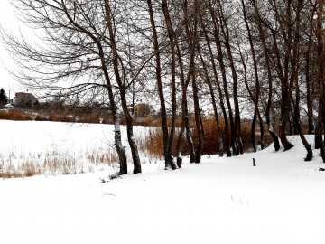 зима, река, снег, мороз, деревья, природа