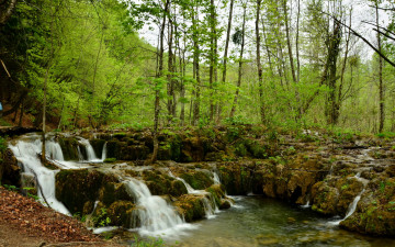 Фото бесплатно природа, водопад в лесу, лето, лес, деревья, растения, камни