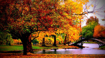 autumn, nature, park, bridge, lake, yellow trees, automne, nature, parc, pont, lac, arbres jaunes, Herbst, Natur, Park, Brücke, See, gelbe Bäume