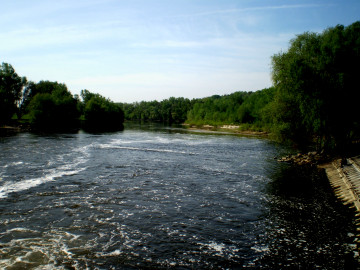 природа, река, Псёл, поток, течение, деревья, лето, пейзаж, лето