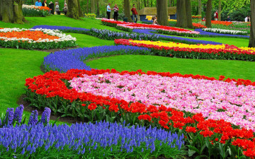 цветы, парк, весна, клумбы, фото, хорошего качества обои, Flowers, park, spring, flower beds, photo, good quality wallpaper