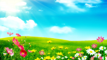 живопись, картина, 8К, зеленая поляна, полевые цветы, небо, облака, красивые обои