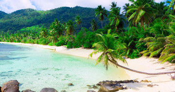 Обои на рабочий стол пальмы, песок, облака, пейзаж, sand beach, пляж, море, тропики, Island, scenery, остров, sea