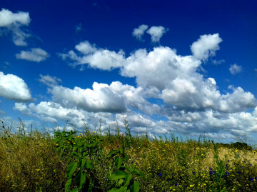 3260х2440, 4К обои, природа, лето, поле, голубое небо, облака, растения, трава, полевые цветы, 4K wallpapers, nature, summer, field, blue sky, clouds, plants, grass, wild flowers