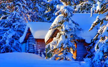 зима, лес, снег, природа, деревянные избушки, елки в снегу, winter, forest, snow, nature, wooden huts, trees in the snow