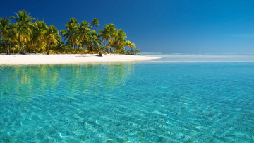 остров в пальмами на бескрайних просторах океана