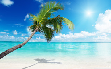 2560х1600, море, пальма, солнце, отдых, курорт, остров, берег, пляж, небо, горизонт, природа, лето, sea, palm, sun, vacation, resort, island, coast, beach, sky, horizon, nature, summer