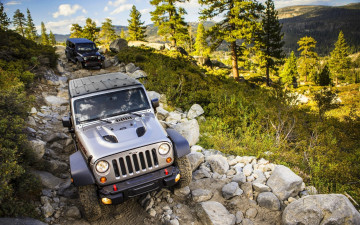 Фото бесплатно wrangler, джип, машины, деревья, природа