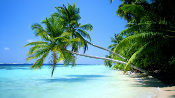 лазурный берег, голубой океан, пальмы, курорты, отдых