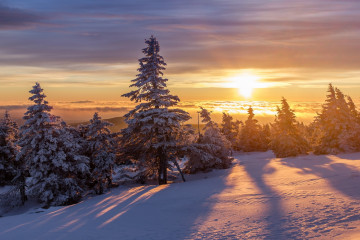 Фото бесплатно восход солнца, снег, тень, зима, природа, хвойные деревья