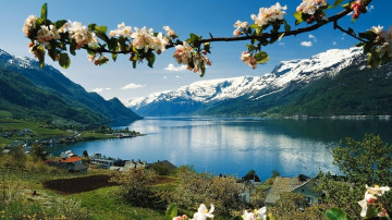 удивительная весна, горы, озеро, пейзаж, цветущая веточка, обои, amazing spring, mountain, lake, landscape, flowering twig, wallpaper