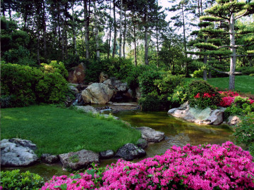 Фото бесплатно пейзаж, газон, цветы, парк, лето, экстерьер