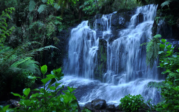 природа, водопад, растения, камни, пейзаж, великолепные обои, Nature, waterfall, plants, stones, landscape, gorgeous wallpaper