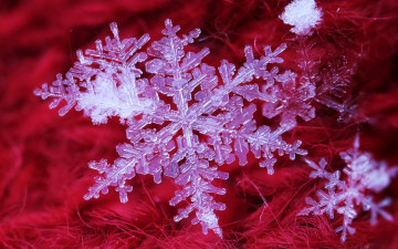 hd full макро - белая снежинка на красном фоне