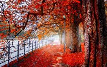осень, набережная, река, деревья, листопад, красные листья, фонарь, природа, обои, Autumn, quay, river, trees, leaf fall, red leaves, lantern, nature, wallpaper