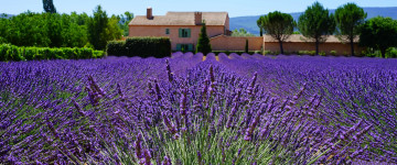 lavender field, provencal, house, wallpaper 3440x1440