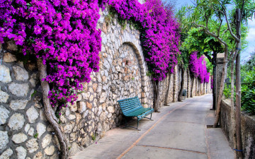 Фото бесплатно красиво, каменная стена, цветы на стене, лавочка, тропинка, улица, город