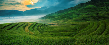 rice terraces, ландшафт, природа, зелень, облака,  5К, 3440х1440