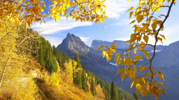 осень, природа, горы, лес, деревья, ветка, пейзаж, красивые обои, Autumn, nature, mountains, forest, trees, branch, landscape, beautiful wallpaper