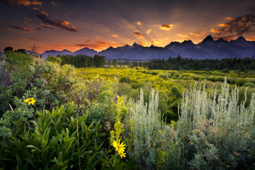 Фото бесплатно США, Гранд-Титон Национальный Парк,  штат Вайоминг, змеиная река, закат, растения, природа