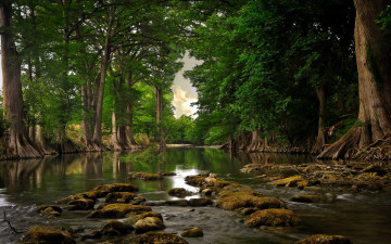 Фото бесплатно камни в реке, природа, камни, деревья, растения
