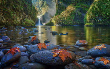 водопад, желтые кленовые листья на камнях