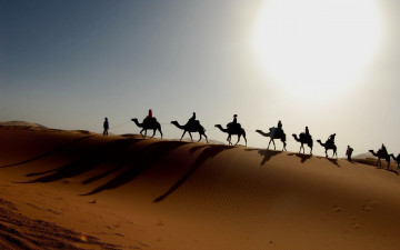 пустыня, Сахара, караван, верблюды, путники, палящее солнце, природа, песок, дюны