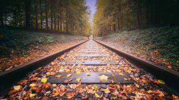 путь, рельсы, шпалы, железная дорога, осень, листья, деревья, природа