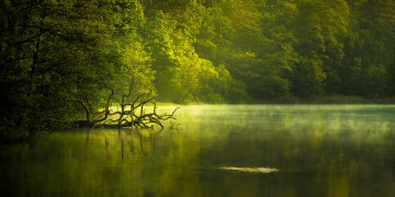Фото бесплатно утренний туман, озеро, пейзаж, деревья