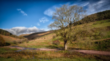 Фото бесплатно Уэльс, горы, природа, красивые места мира