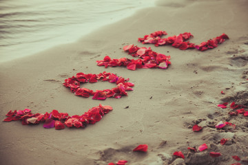 Фото бесплатно море, песок, красные лепестки, love, берег