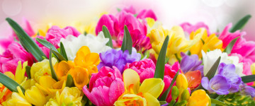 красивые красочные весенние цветы, букет, ultra hd 4k wallpaper