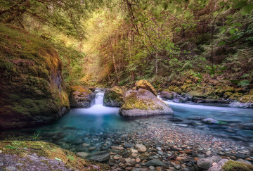 Фото бесплатно камни в воде, деревья, водопад, осень