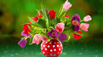 a bouquet of tulips in a vase, spring flowers, rain, букет тюльпанов в вазе, весенние цветы, дождь