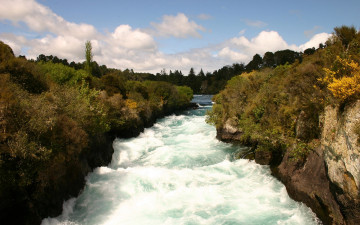 Фото бесплатно вода, течение, лес, водопад, поток