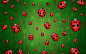 текстура, божьи коровки на зеленом фоне, насекомые, обои, Texture, ladybugs on a green background, insects, wallpaper