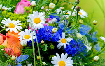 полевые цветы, букет, весна, Wild flowers, bouquet, spring